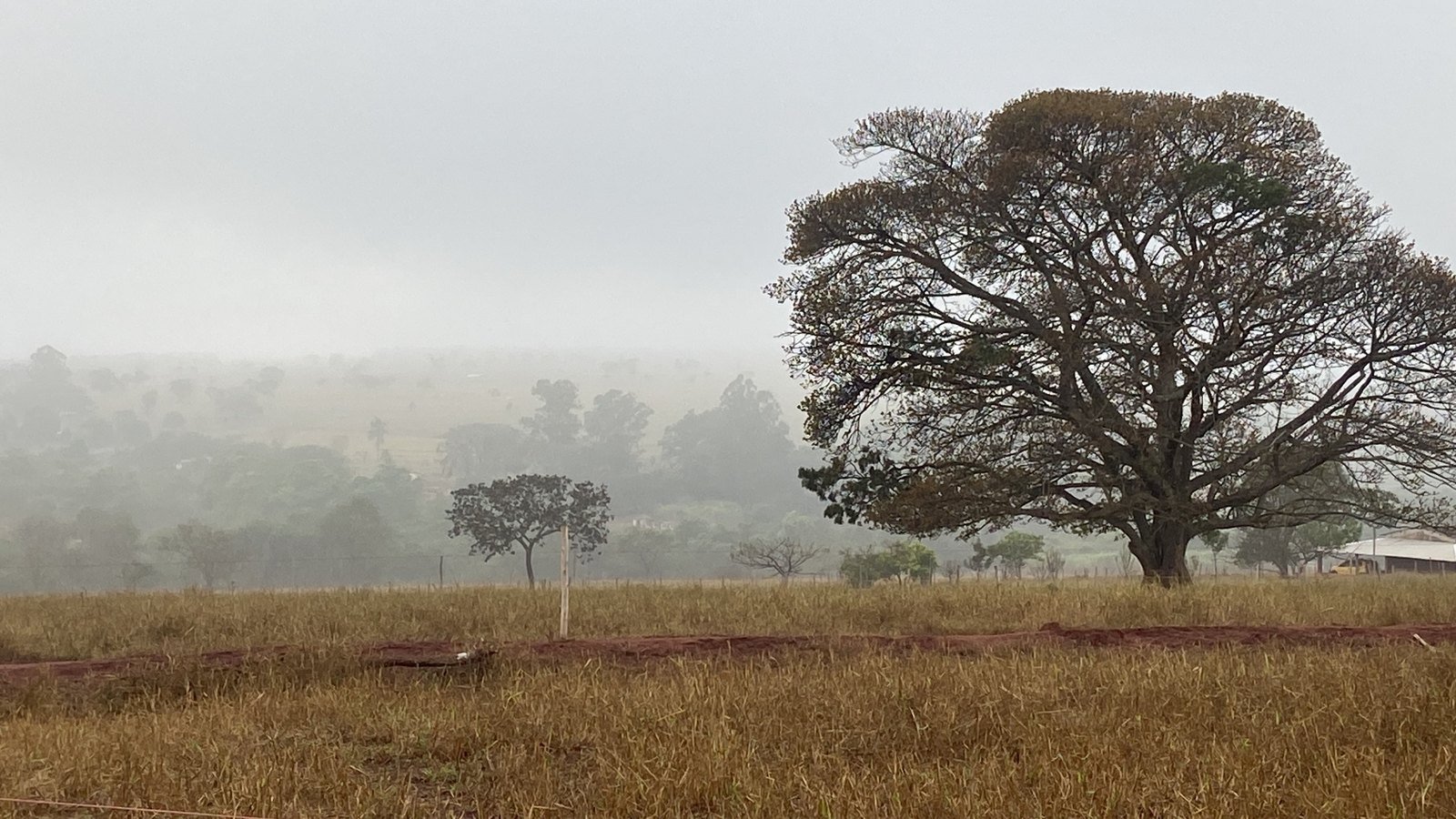 Paisagem da propriedade Agropecuária Cerrado