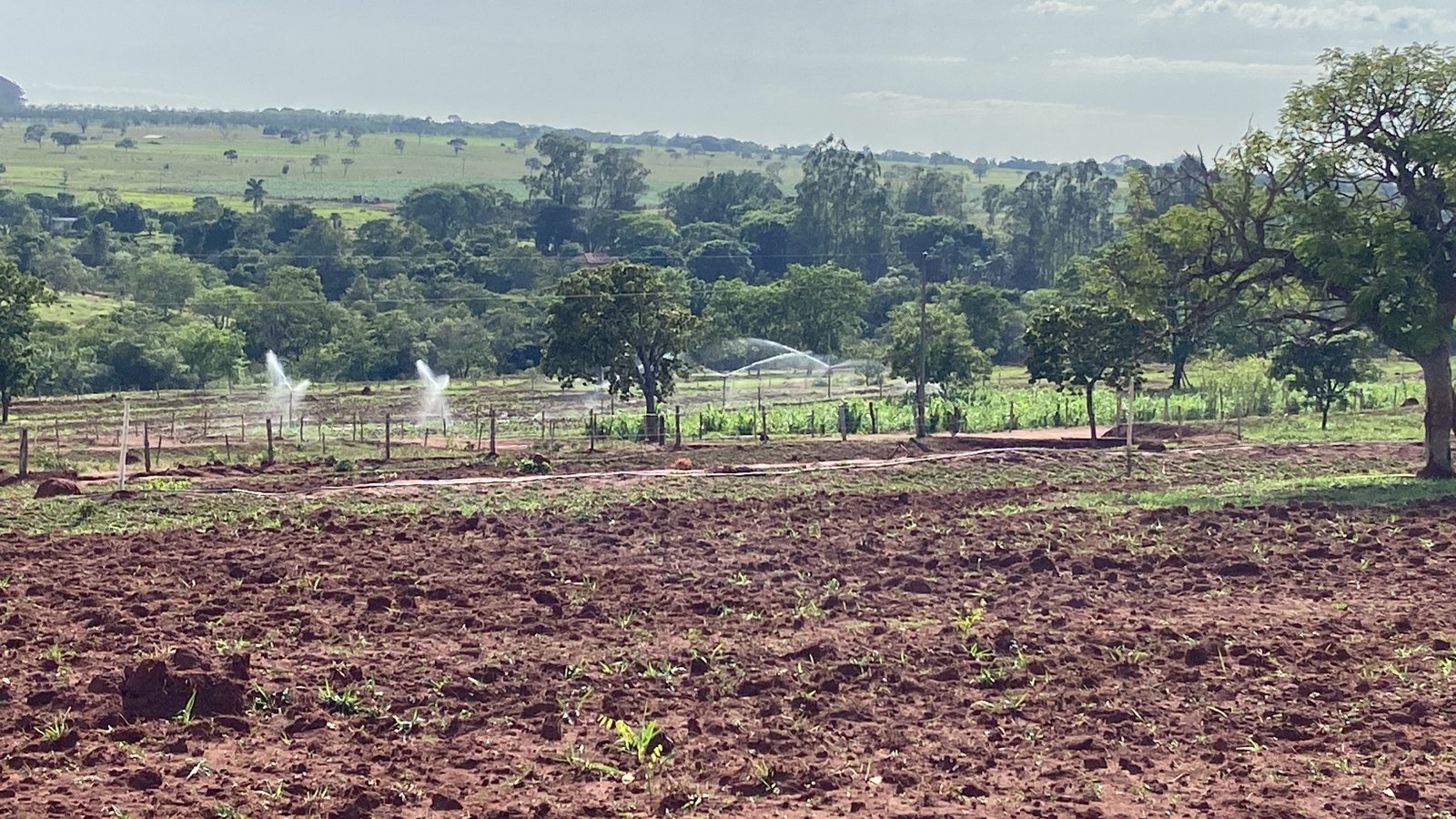Irrigação