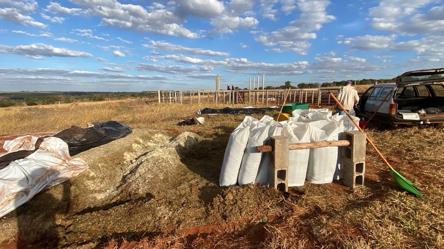 Silagem ensacada produzida na propriedade